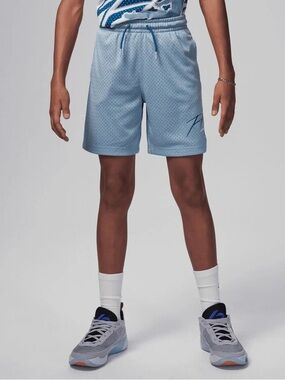 Nike Air Jordan Dri-Fit basketball shorts